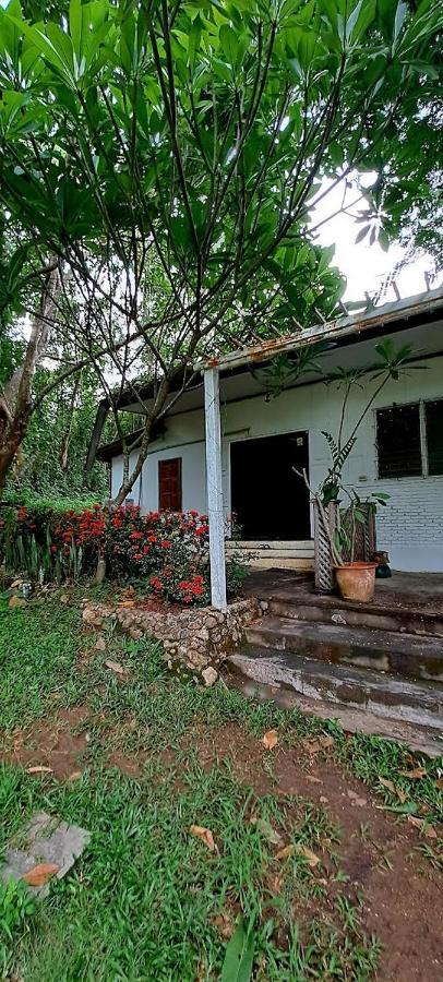 Pai Yard Guest House Экстерьер фото